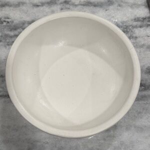 Pottery Barn Orion Bowl